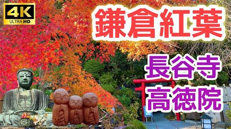 鎌倉 紅葉 紅葉に染まる長谷寺〜鎌倉大仏高徳院散歩♪精進料理・鎌倉オーガニックグルメや大仏スイーツ食べ歩き♪ Youtube