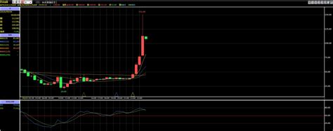 三大美期黃金白銀瘦豬op 角蛙 Histock嗨投資理財社群