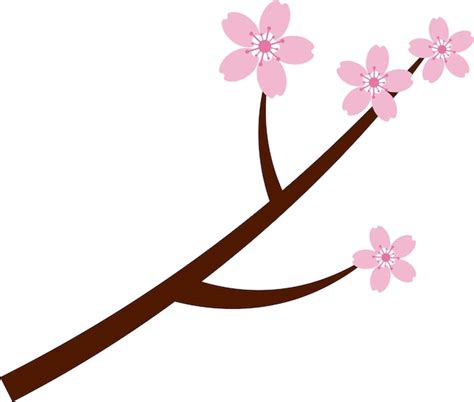 Premium Vector Beautiful Pink Sakura Cherry Blossom Illustration