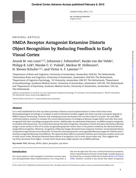 (PDF) NMDA Receptor Antagonist Ketamine Distorts Object Recognition by ...