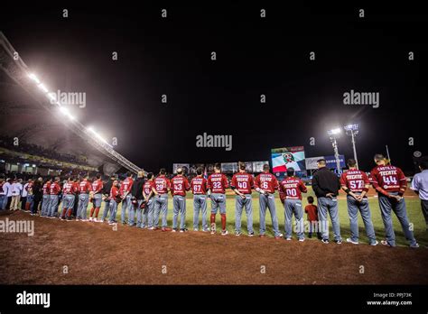 Foto Oficial Del Equipo De Beisbol Tomateros De Culiacan Que Representa