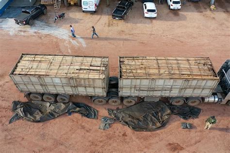 Semas Realiza Mais Uma Fase Da Operação Amazônia Viva Em Combate A