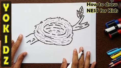 How To Draw A Nest For Kids Youtube