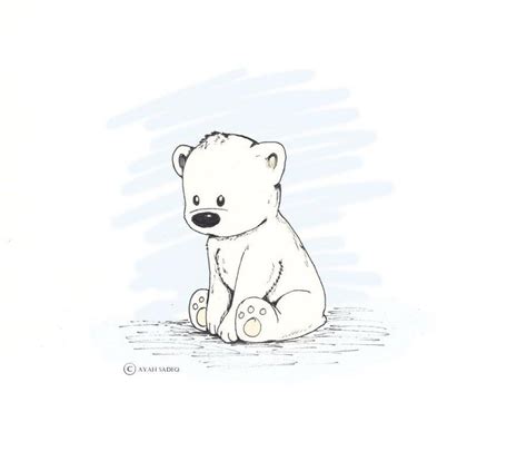 How To Draw A Baby Polar Bear Step By Step