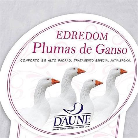 Edredom Pluuma Daune Plumas De Ganso Queen Frete Gr Tis