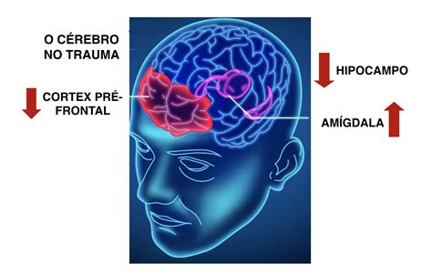 TEPT TRANSTORNO DE ESTRESSE PÓS TRAUMÁTICO Caminho Integrativo