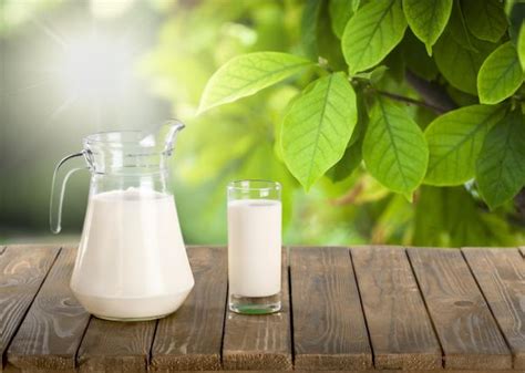 Leche para las plantas beneficios y cómo usarla Guía fácil