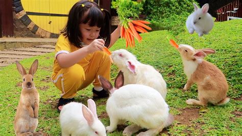 Yuk Kasih Makan Kelinci Dan Perah Susu Sapi Mengenal Binatang Lucu