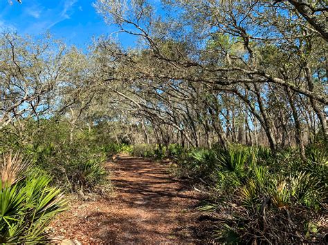 7 Hiking Trails With Breathtaking Views Near Orlando