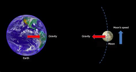 Gravity - Systems-Grade 8 Science