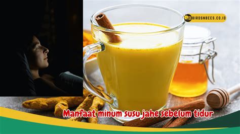 Yakin Cuma Menghangatkan Perut Intip Segudang Manfaat Minum Susu Jahe