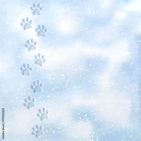 Animal foot prints to a snowy. Tracks in the snow. Dog footprints in ...