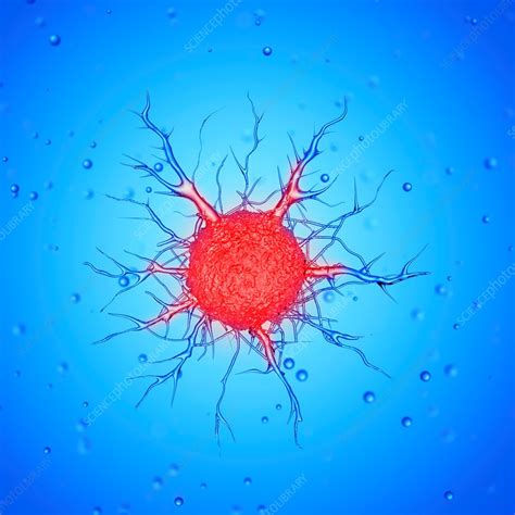 Illustration Of A Cancer Cell Stock Image F023 6566 Science Photo