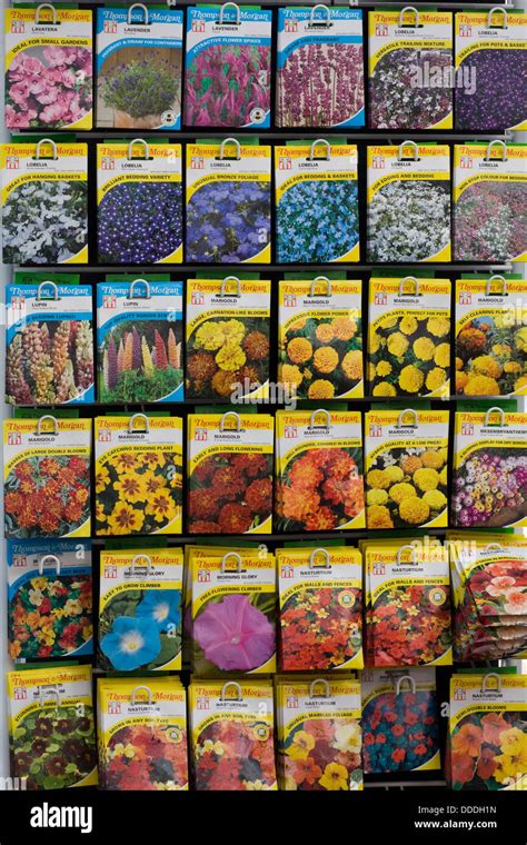 Packets Of Thompson And Morgan Flower Seeds For Sale Stock Photo Alamy