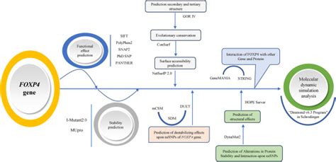 Prediction And Assessment Of Deleterious And Disease Causing