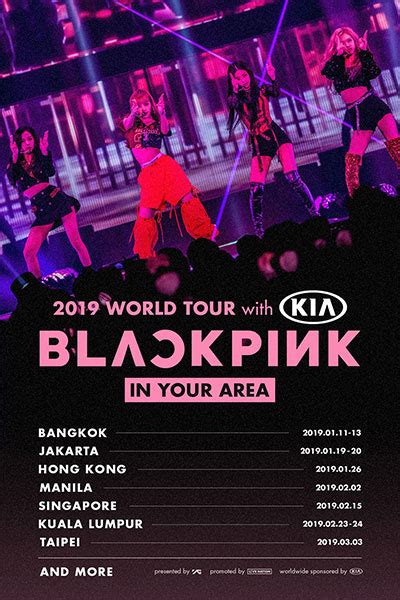 れなし BLACKPINK WORLD TOUR IN YOUR Bm2RE m47837121014 ブルーレイ