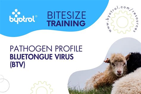 Pathogen Profile – Bluetongue Virus (BTV) – Byotrol