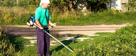 Sale Per Non Far Crescere Erba Il Metodo Naturale Per Eliminare Le