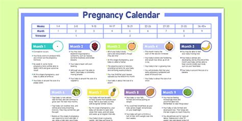 Pregnancy Calendar Template Guide - Parents - Birth to Two