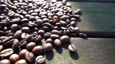 Coffee Beans as Background 43852812 Stock Video at Vecteezy