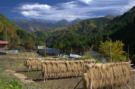 Kamikochi in Autumn « Otter Adrift – Travel in search of wildlife