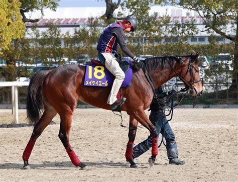 【高松宮記念】メイケイエール 3枠5番に笑顔 武英師「一番強いと思っています」 競馬ニュース Netkeiba