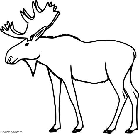 Moose Coloring Pages (53 Free Printables) - ColoringAll