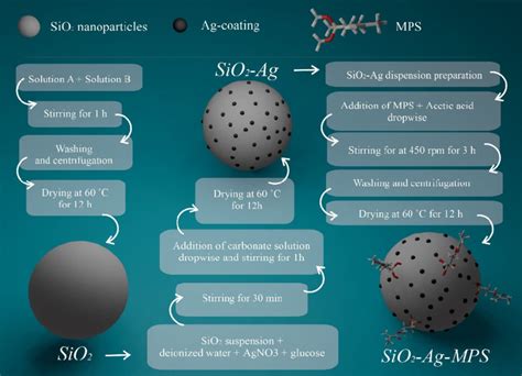 Schematic Diagram Of The Synthesis Of Sio2 Sio2 Ag And Sio2 Ag Mps