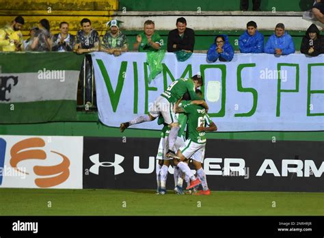 Sc Chapeco Brasileir A Chapecoense Vs Csa