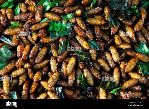 Street food stalls selling fried insects, Bangkok, Thailand Stock Photo - Alamy