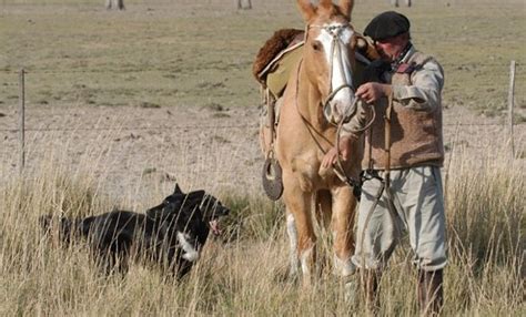 Los Trabajadores Rurales Contarán Con Una Constancia Virtual Cómo Tramitarla Agrofy News