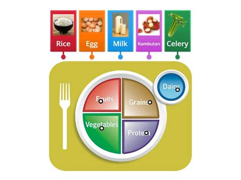 My Healthy Plate - Labelled diagram