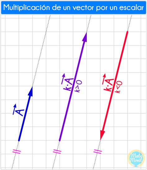 Multiplicación De Un Vector Por Un Escalar Matemóvil