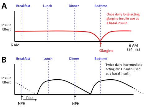 Nph insulin peak