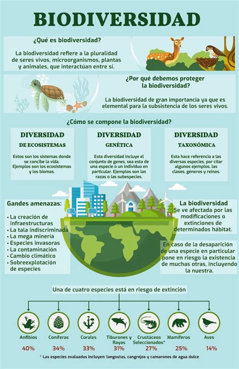 Infografía Sobre Biodiversidad Y Ecosistemas Apuntes De Clase Clase