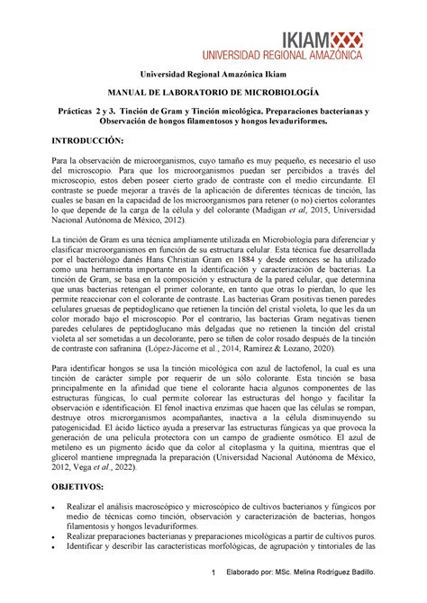 Guia 02 Tinción De Gram Y Tinción Micológica Manual De Laboratorio De Microbiología Ikiam Melina