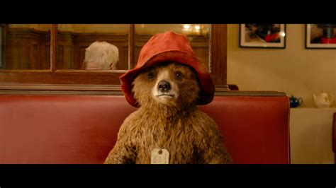 'Paddington' leaves a warm and fuzzy feeling