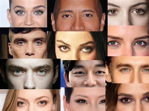 Types Of Eyelids 9 Different Shapes Of Eyes And Their Names