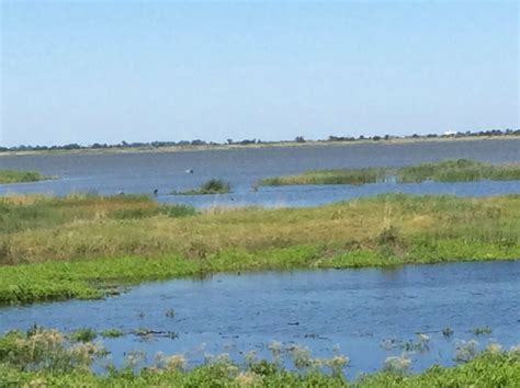 Quivira National Wildlife Refuge Kansas Over 23 000 Acres Of Salt Marsh And Prairie Land