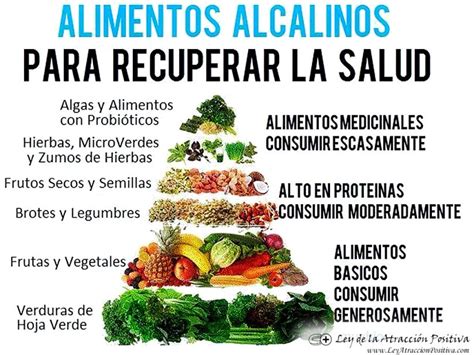 Los 7 Alimentos Más Alcalinos Ley De La Atracción Positiva