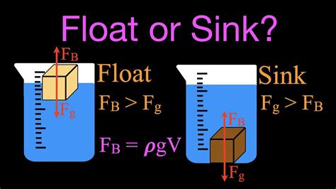 Buoyancy Floating And Sinking Youtube