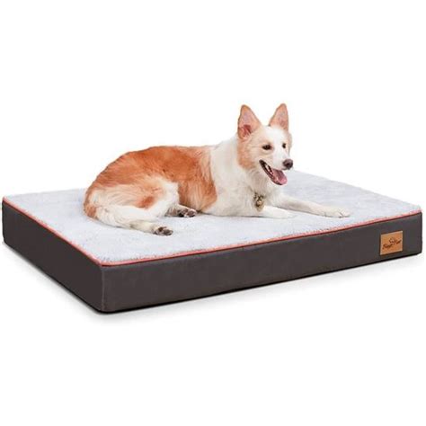 Bingopaw Lit Pour Chien Orthop Dique Panier Chien Xxl D Houssable