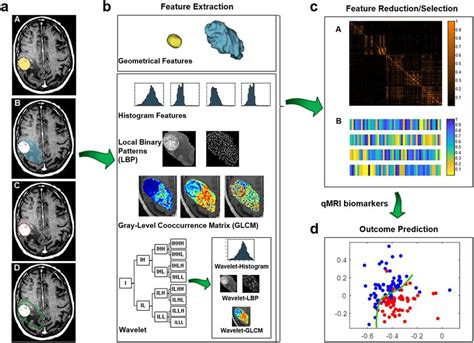 Scheme Of The Radiomics Based Outcome Prediction Framework A The