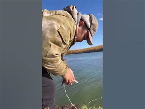 Fishing for carp🐟 / Рыбалка на карася🐟 - YouTube
