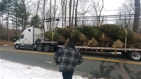 Steel Coil Delivery Hauling A Load Of Trees Made It Out Winter Vlog