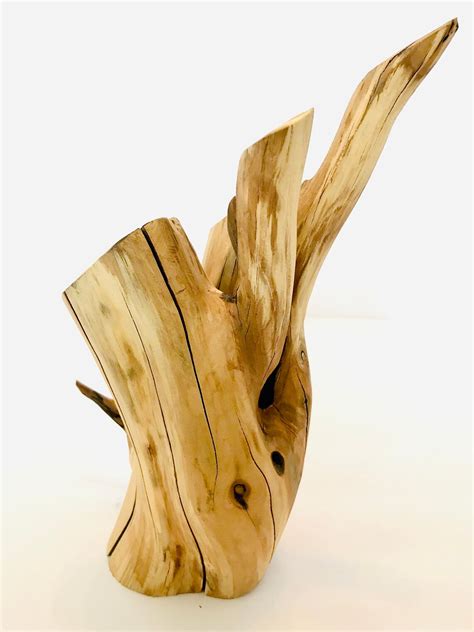 Reptile Aquatic Manzanita Furniture Etsy