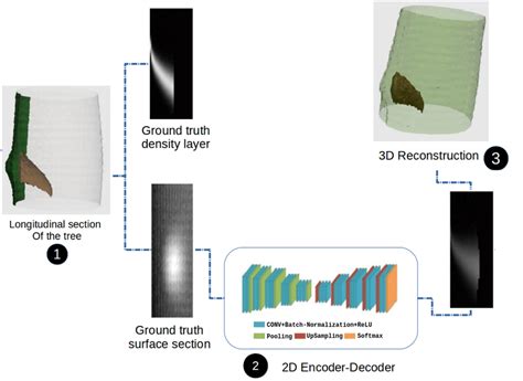 Different Steps For 2d Prediction And 3d Reconstruction Download Scientific Diagram