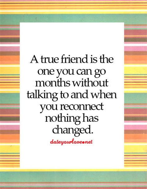 A True Friend Is The One You Can Go Months Without Talking To And When