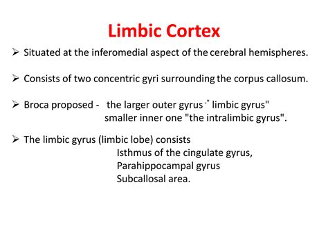 Limbic System Dr Arpit Ppt