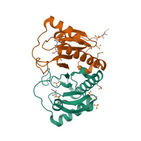 Rcsb Pdb Nrd Crystal Structure Of A Histidine Triad Hit Protein